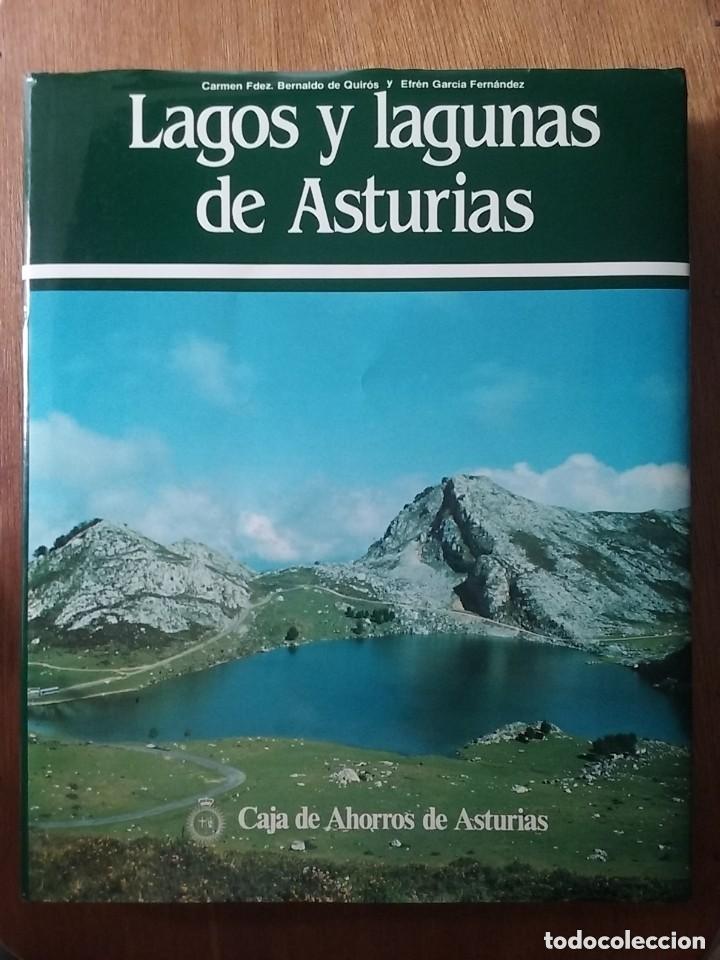Libri di seconda mano: LAGOS Y LAGUNAS DE ASTURIAS, CARMEN FERNANDEZ, EFREN GARCIA FERNANDEZ, AYALGA, NATURALEZA