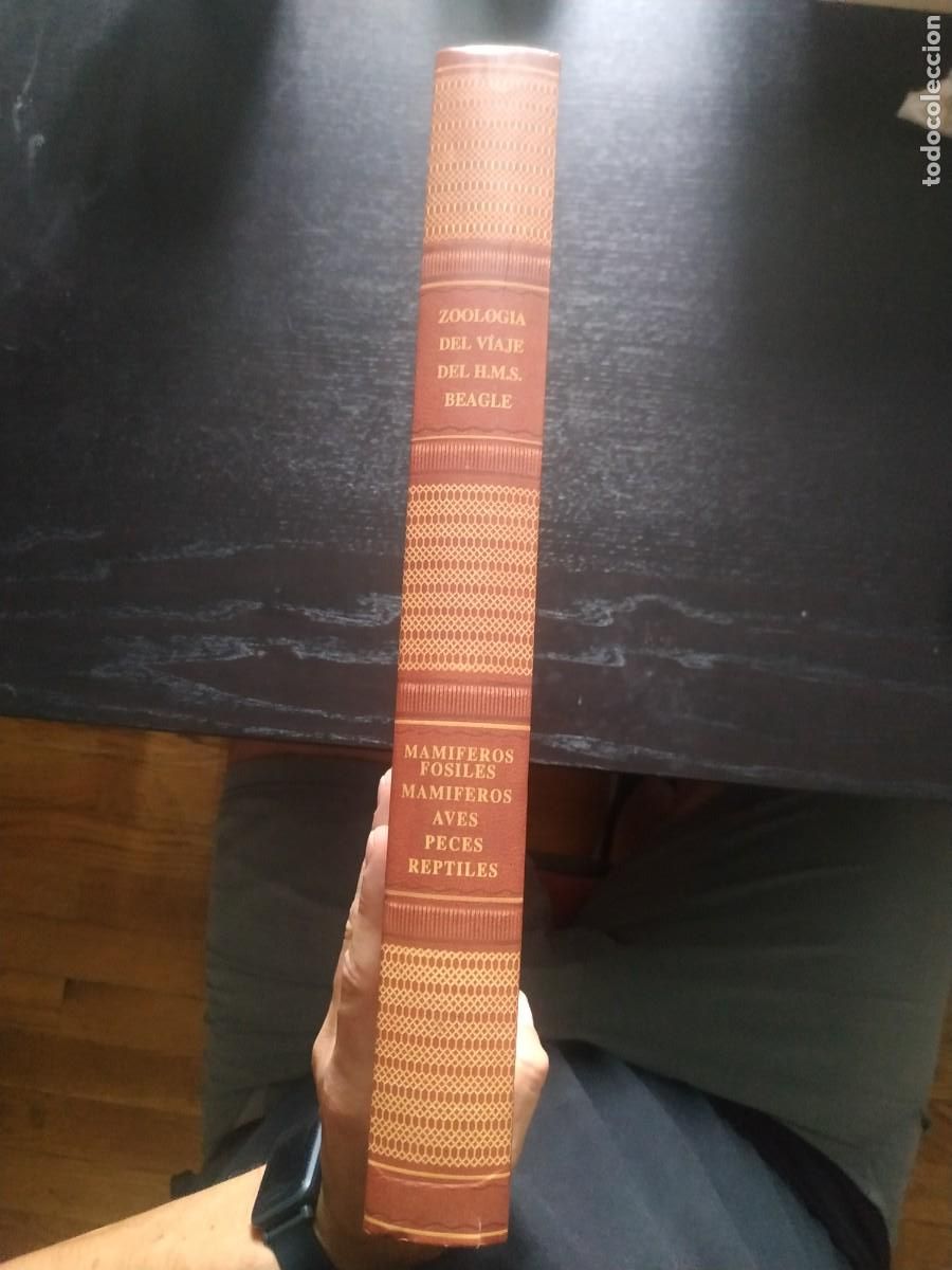 Second hand books: Zoolog&iacute;a del viaje de H.M.S. Beagle