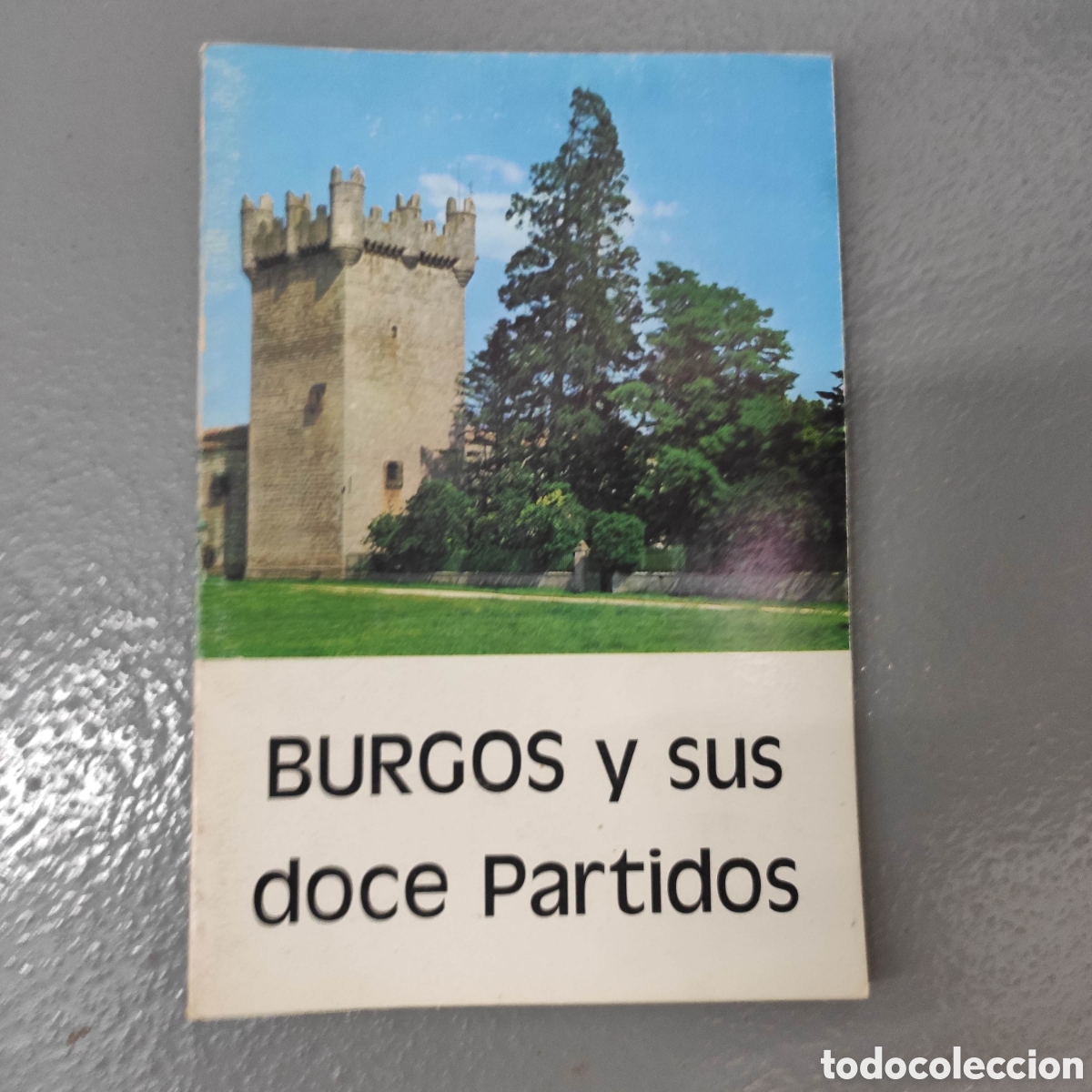Libros de segunda mano: BURGOS Y SUS DOCE PARTIDOS FRAY VALENT&Iacute;N DE LA CRUZ CRONISTA OFICIAL PROVINCIA