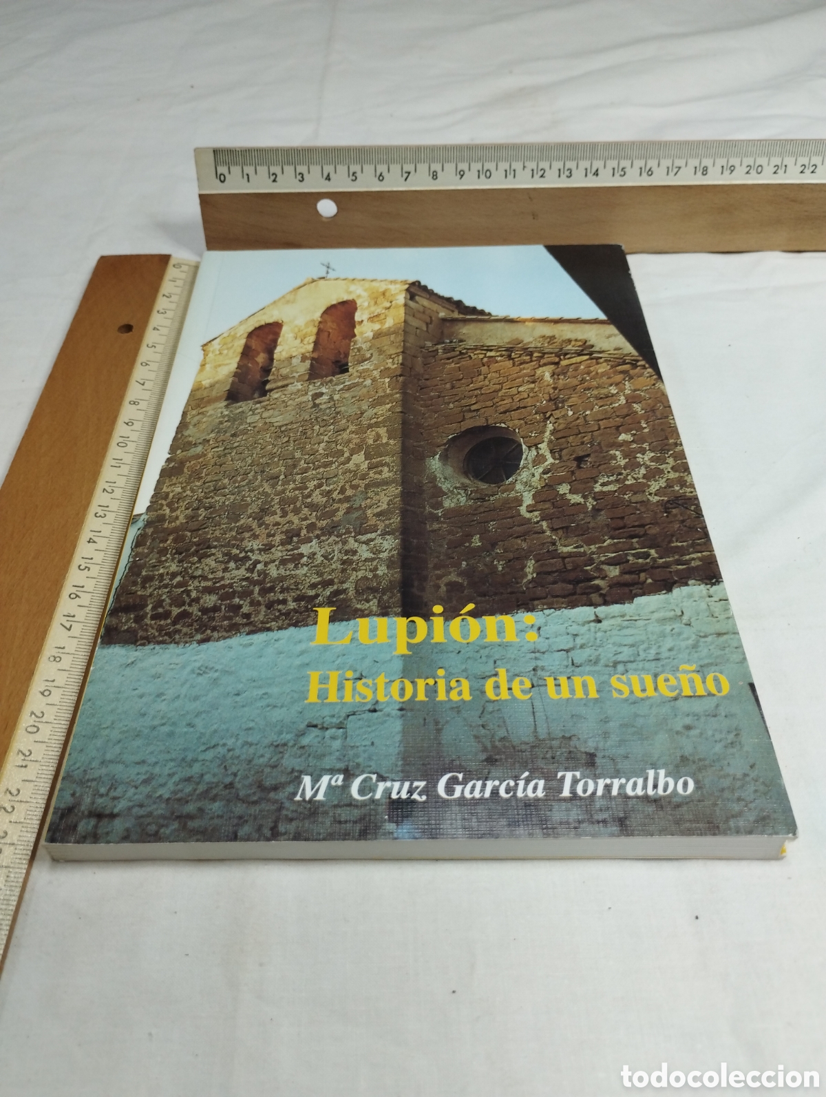 Gebrauchte B&uuml;cher: Lupi&oacute;n: historia de un sue&ntilde;o. Mari Cruz Garci