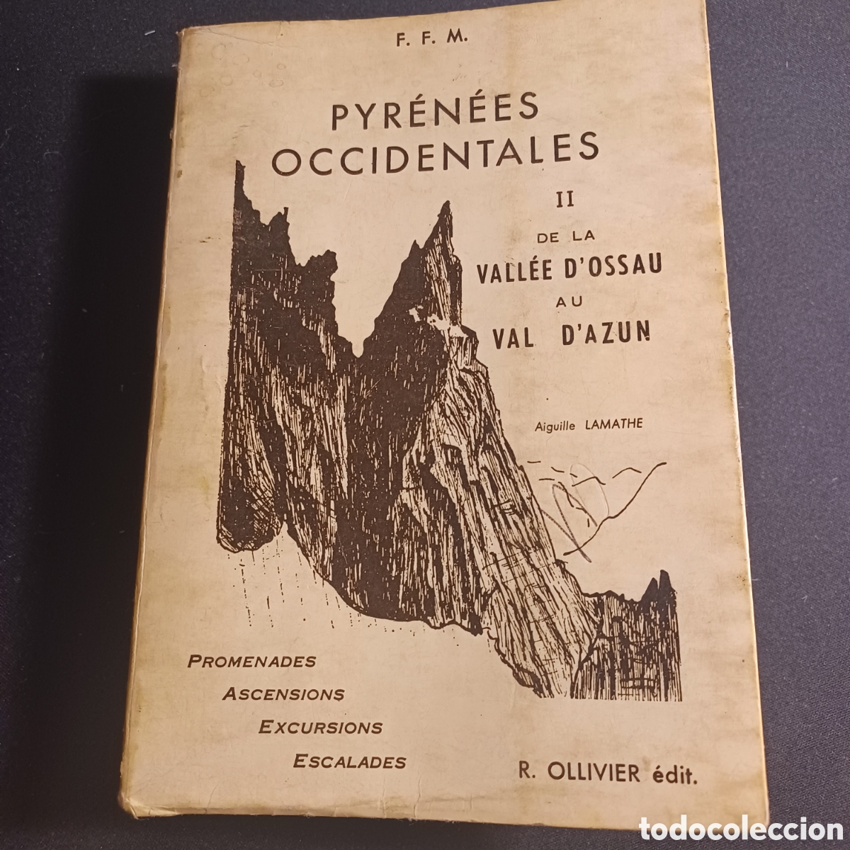 Libros de segunda mano: FEDERACION FRANCESA MONTA&Ntilde;A -PYR&Eacute;N&Eacute;ES OCCIDENTALES -VALLEE D'OSSAU AU VAL D'AZUN A&Ntilde;O 1960. R.OLLIVER