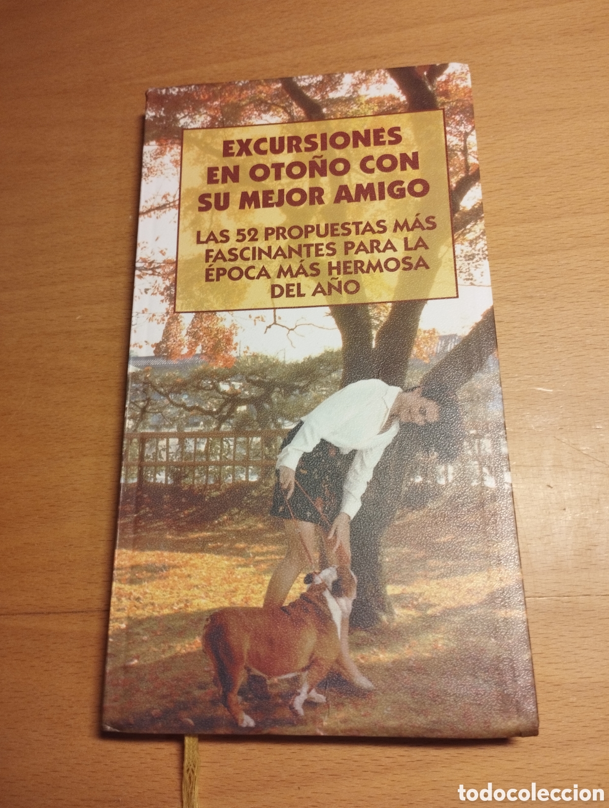 Gebrauchte B&uuml;cher: EXCURSIONES EN OTO&Ntilde;O CON SU MEJOR AMIGO. 52 PROPUESTAS FASCINANTES PARA &Eacute;POCA M&Aacute;S HERMOSA DEL A&Ntilde;O