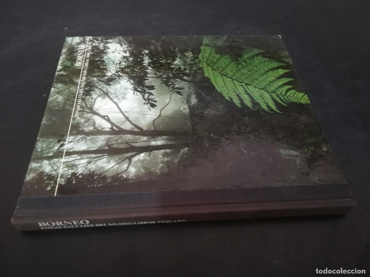 Libri di seconda mano: BORNEO / JOHN MACKINNON / CONS620-7-GV / TIME LIFE
