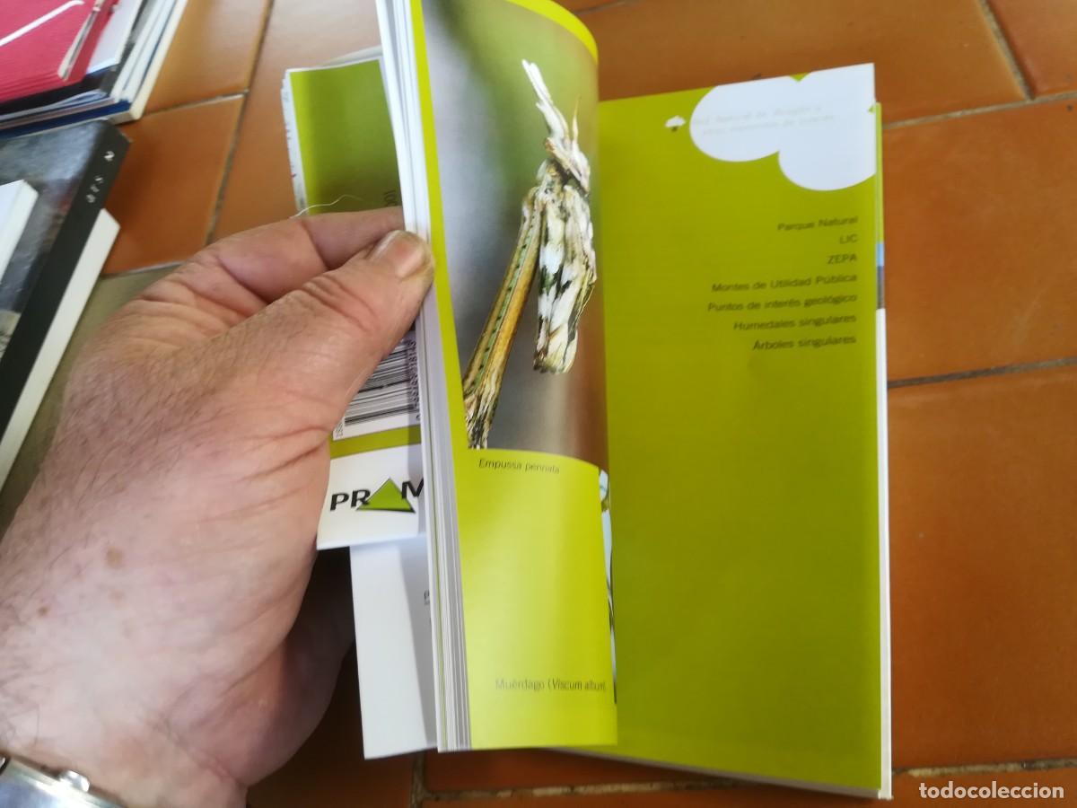 Libros de segunda mano: COMARCA DEL ARANDA / PRAMES / AQ-405 - Foto 13