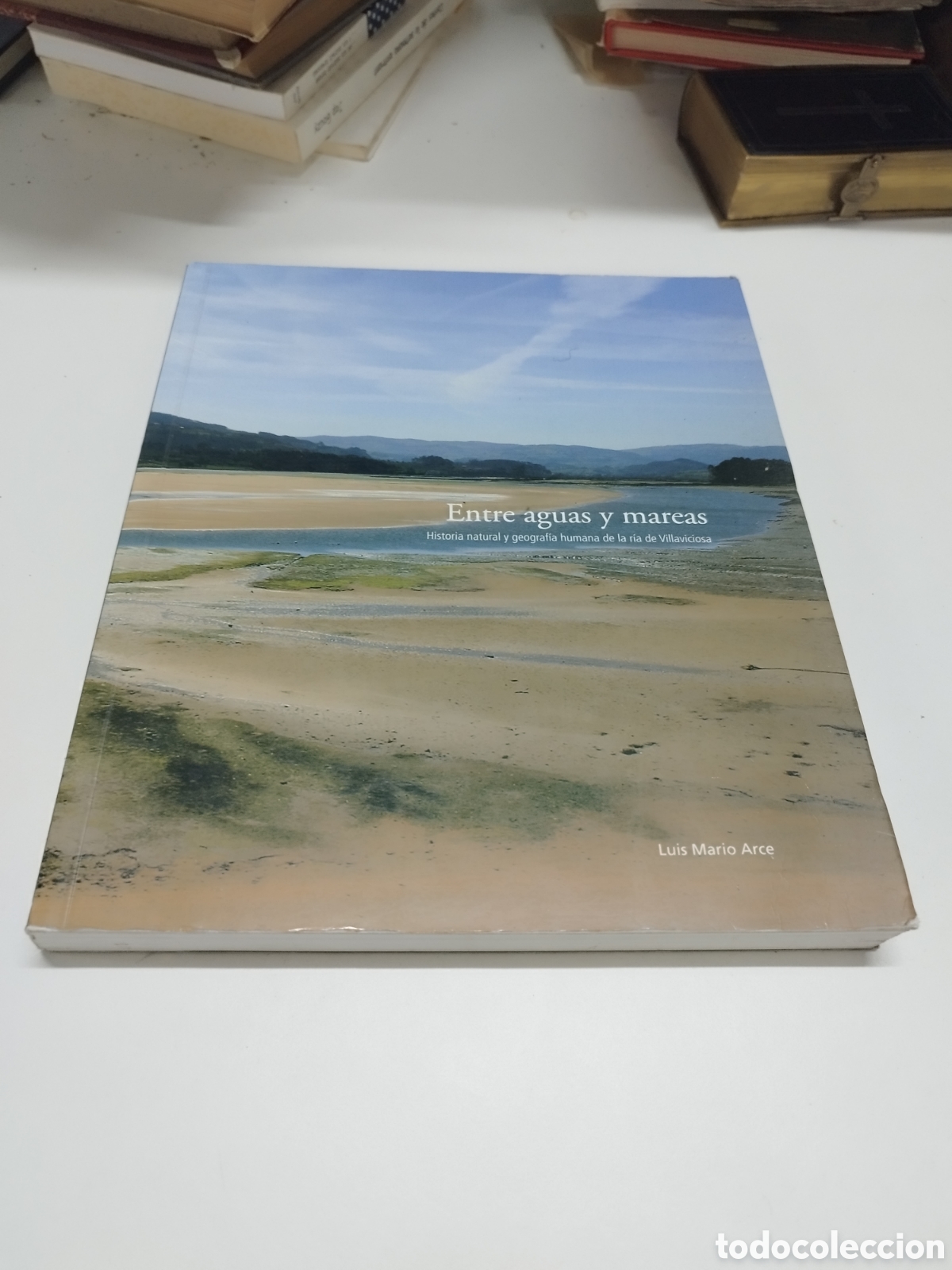 Libros de segunda mano: ENTRE AGUAS Y MAREAS HISTORIA NATURAL Y GEOGRAFIA HUMANA DE LA RIA DE VILLAVICIOSA.LUIS MARIO ARCE.
