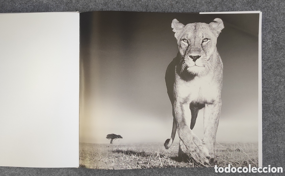 Libros de segunda mano: Libro Encounter de David Yarrow - Foto 3