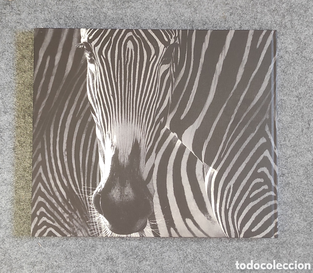 Libros de segunda mano: Libro Encounter de David Yarrow - Foto 4