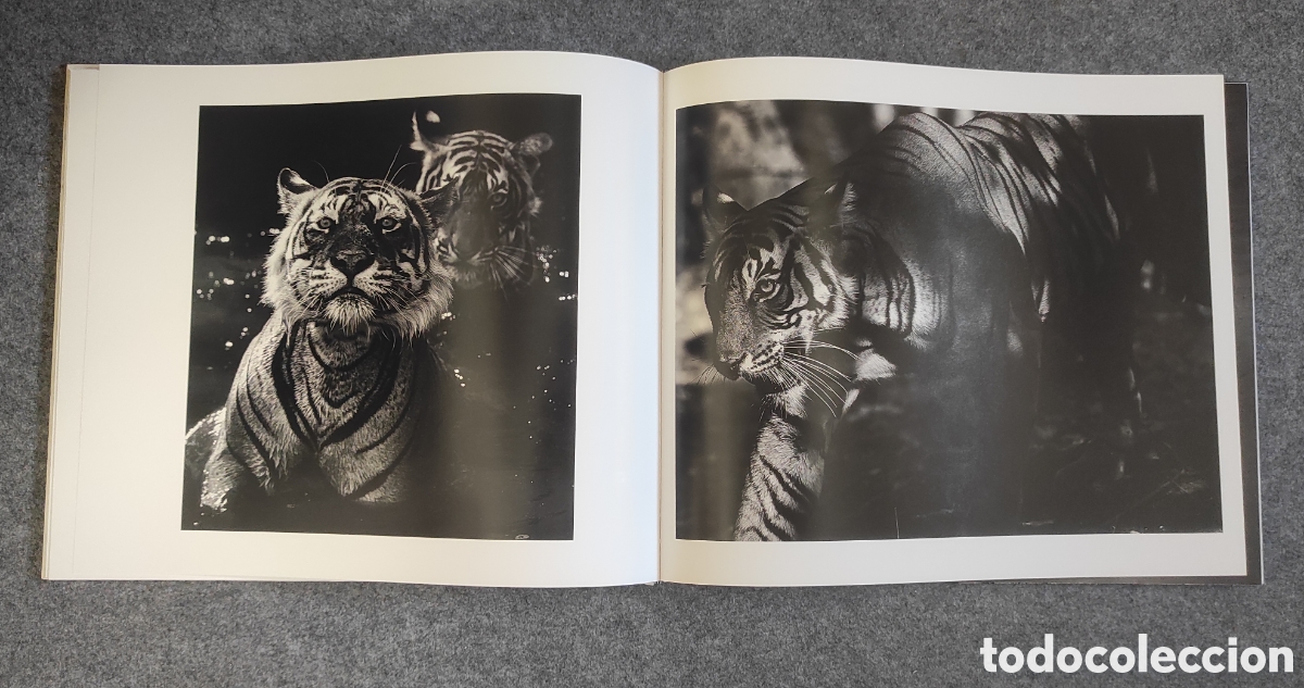 Libros de segunda mano: Libro Encounter de David Yarrow - Foto 5