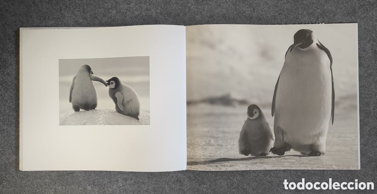 Libros de segunda mano: Libro Encounter de David Yarrow - Foto 6