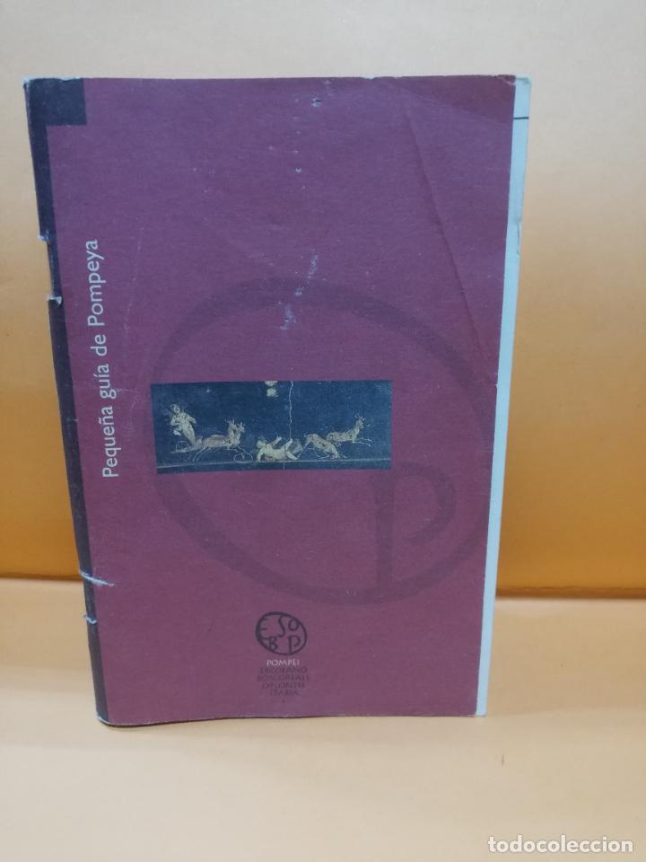 Libros de segunda mano: PEQUE&Ntilde;A GUIA DE POMPEYA. 2001. PAGS : 69.