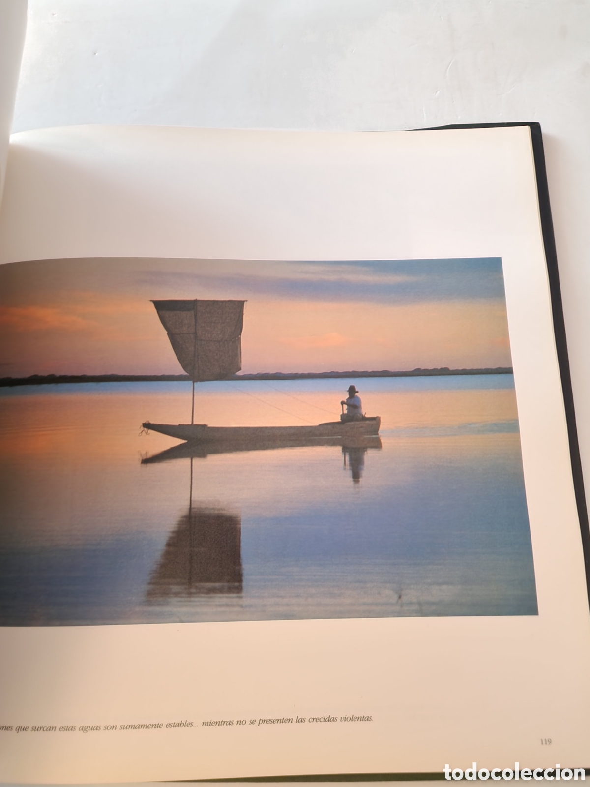 La Marisma y el Llano