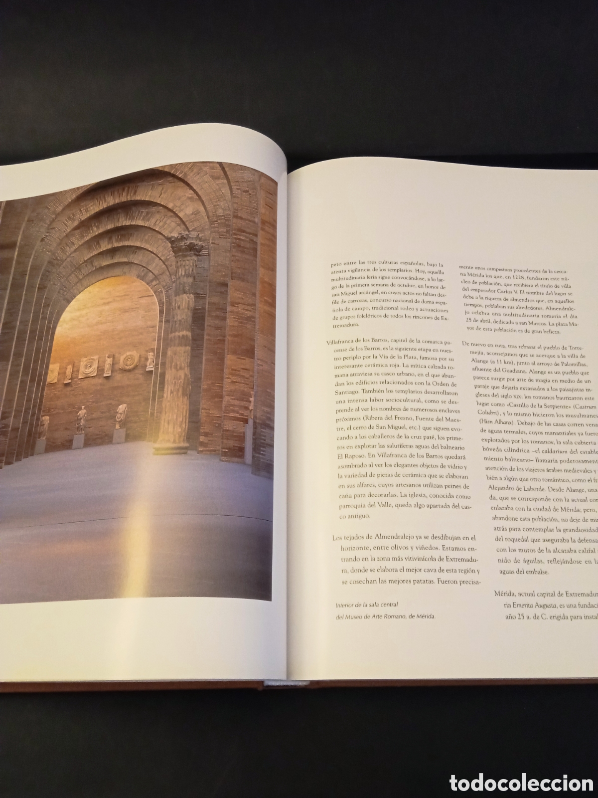 Libros de segunda mano: La V&iacute;a de la Plata - Foto 8