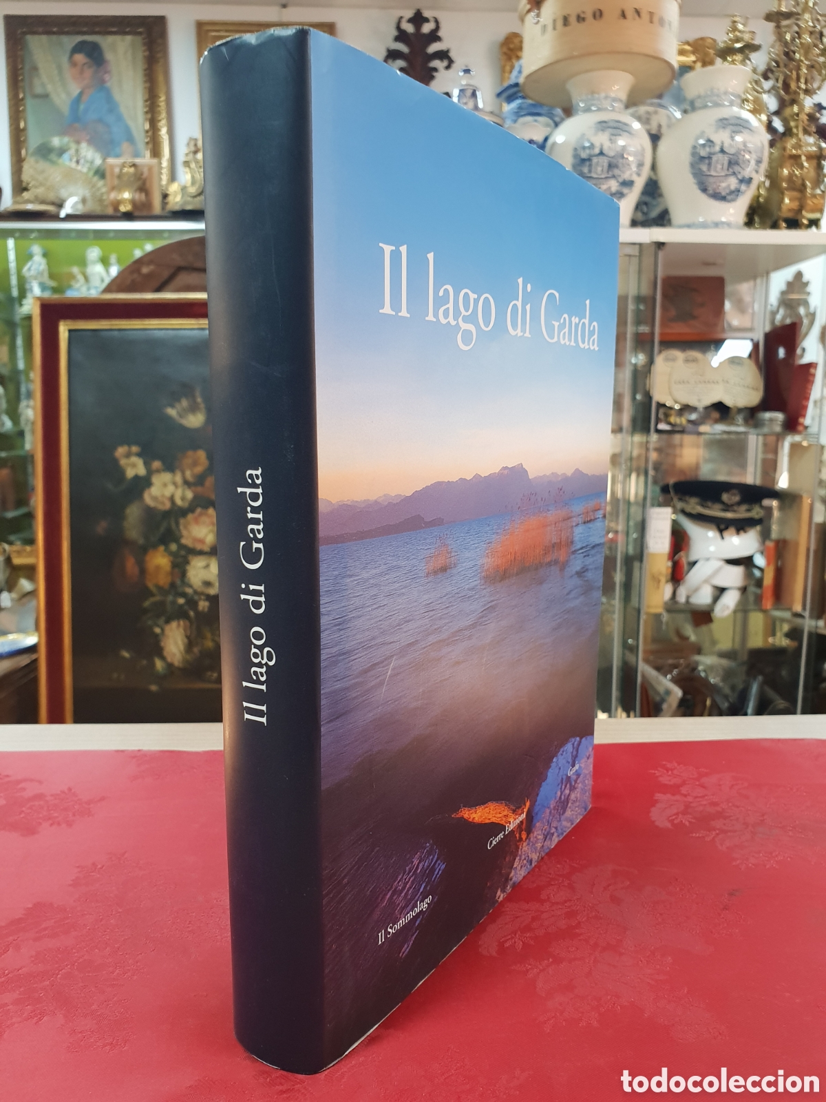 Livres d'occasion: IL LAGO DE GARDA. . IL SOMMOLAGO . CIERRE EDIZIONI