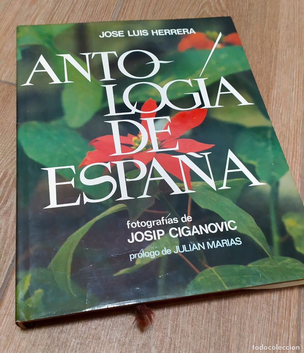 Libros de segunda mano: Libro Antolog&iacute;a de Espa&ntilde;a - Foto 1