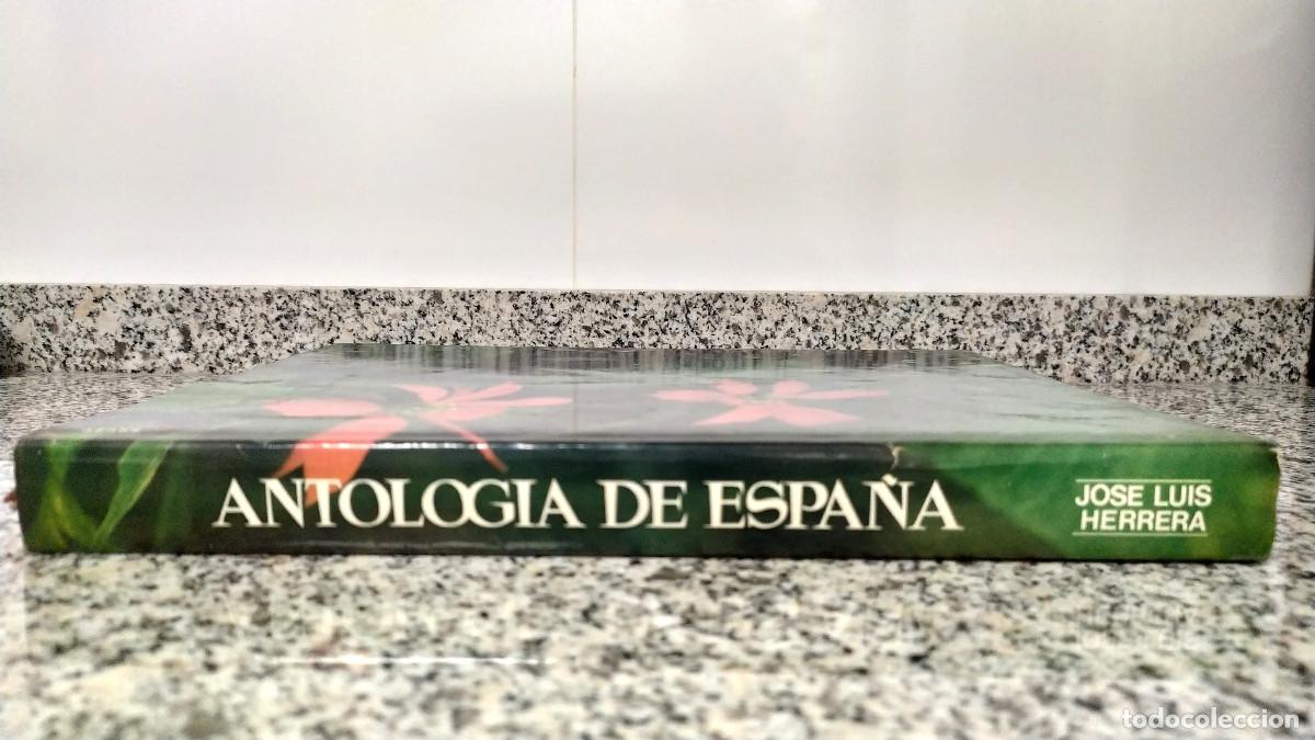 Libros de segunda mano: Libro Antolog&iacute;a de Espa&ntilde;a - Foto 4