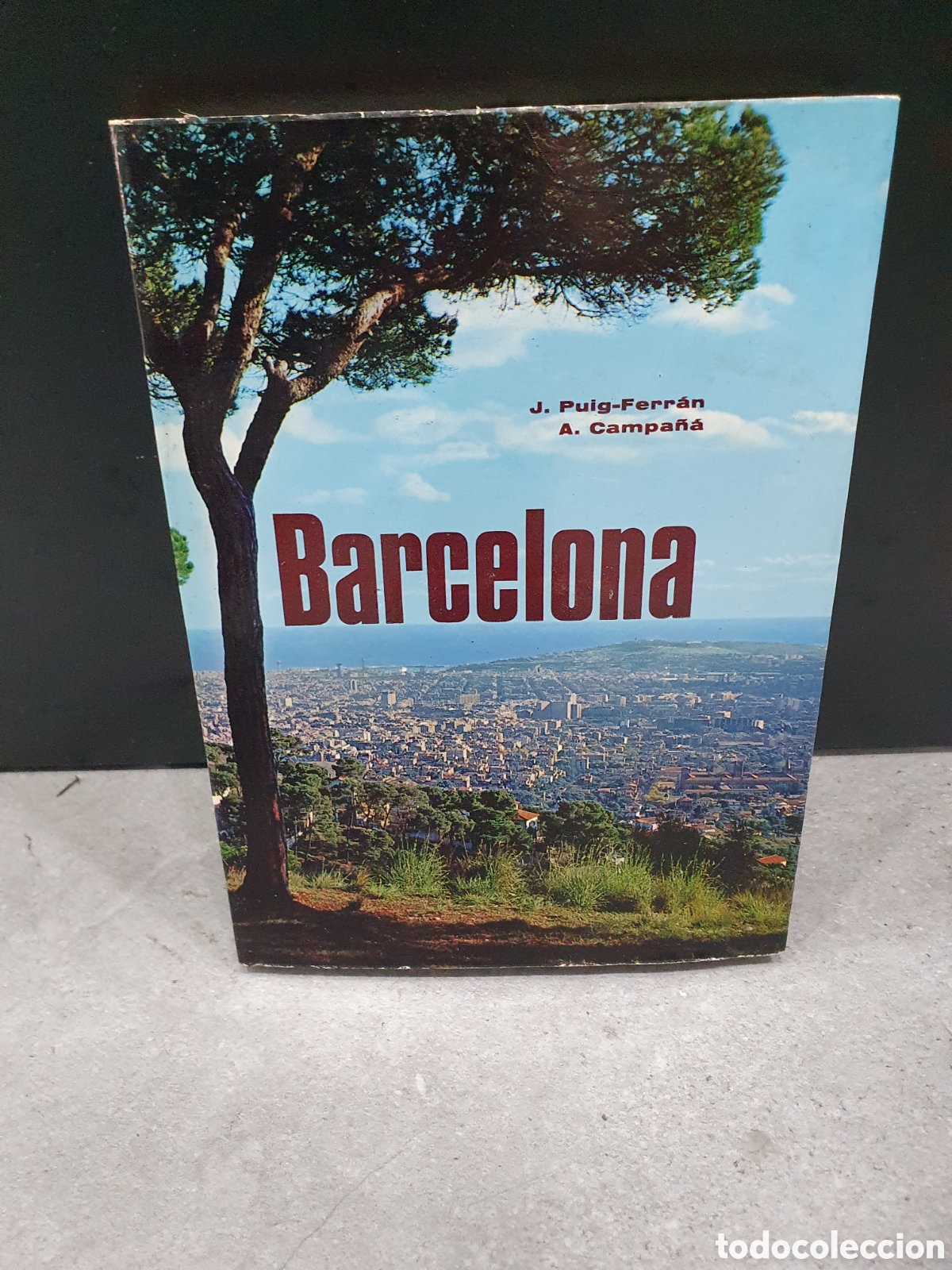 Libros de segunda mano: Libro Barcelona. Puig Ferran. (L2)