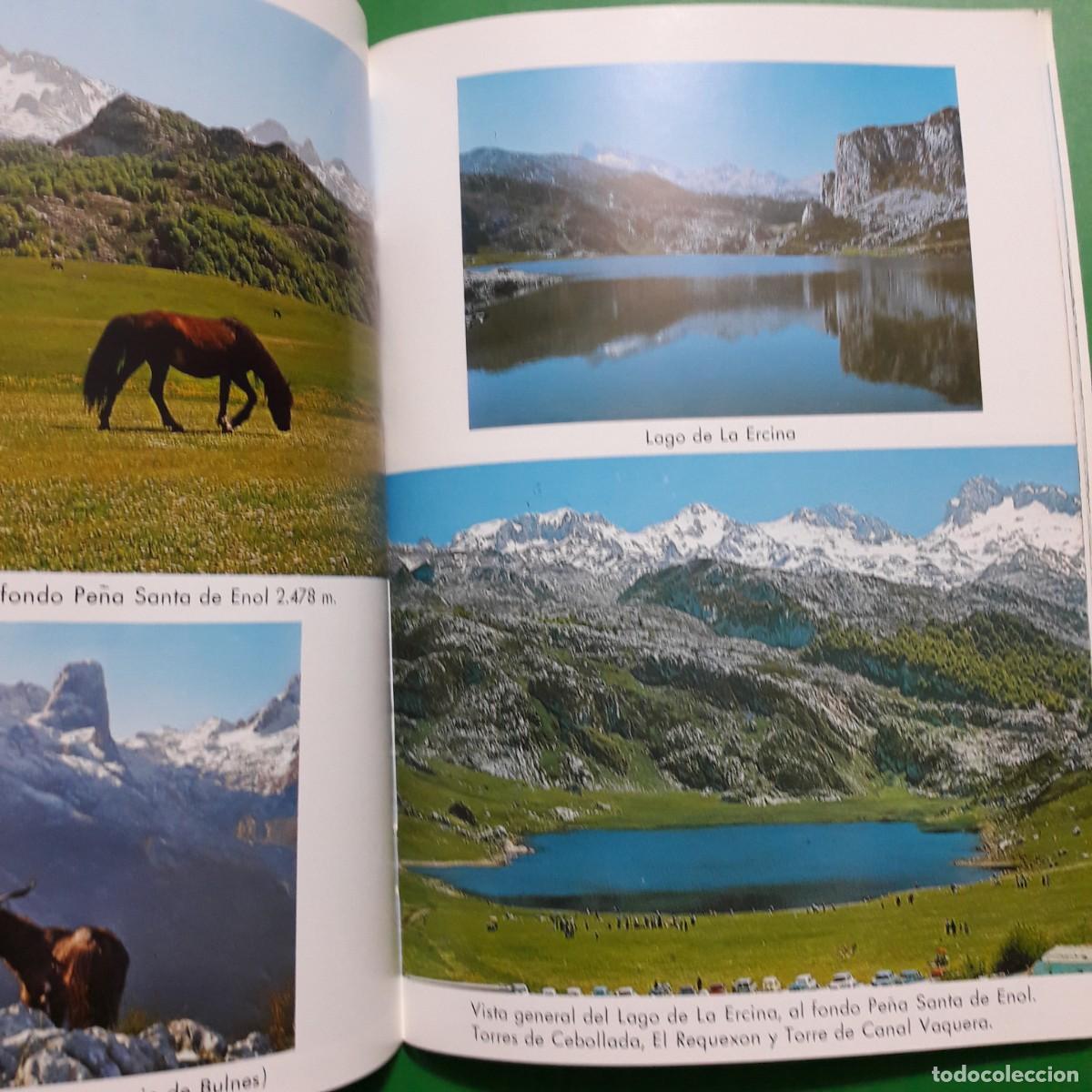 Libros de segunda mano: Libro Covadonga - Foto 2