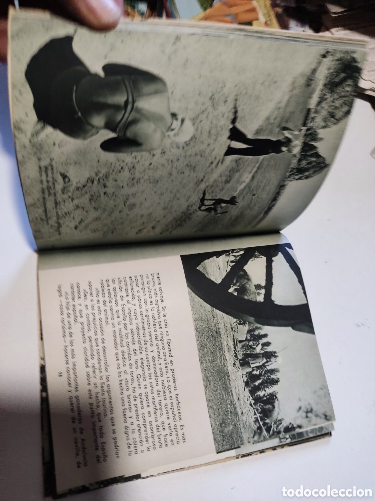 Libros de segunda mano: Libro ESPA&Ntilde;A - Foto 10