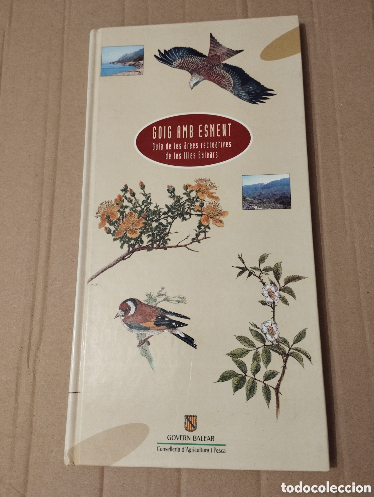 Second hand books: GOIG AMB ESMENT. GUIA DE LES &Agrave;REES RECREATIVES DE LES ILLES BALEARS (GOVERN BALEAR)