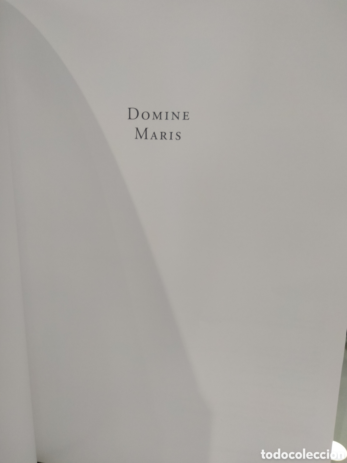 Libros de segunda mano: Domine Maris - Foto 2