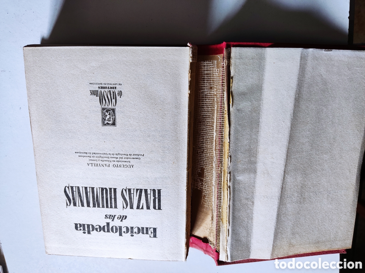 Libros de segunda mano: Libro enciclopedia de las razas humanas - Foto 3