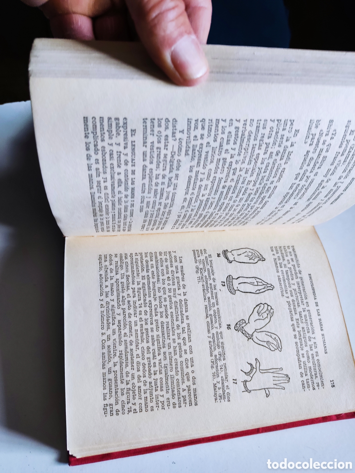Libros de segunda mano: Libro enciclopedia de las razas humanas - Foto 6