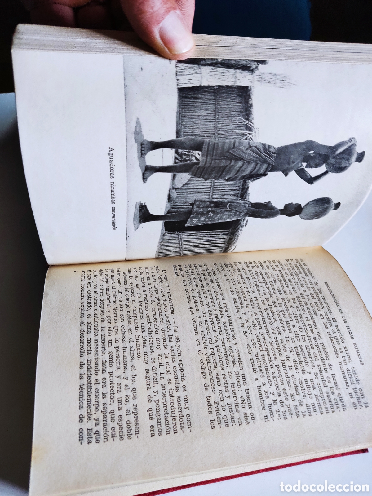 Libros de segunda mano: Libro enciclopedia de las razas humanas - Foto 8