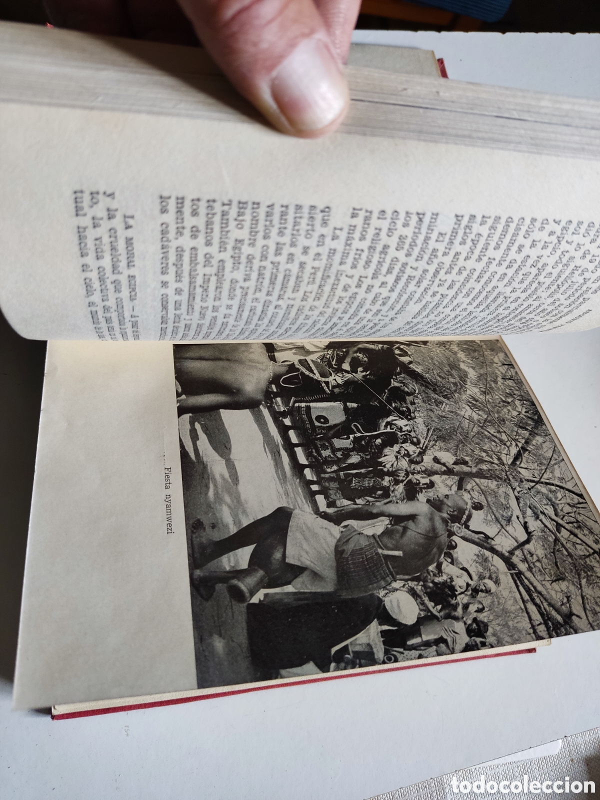 Libros de segunda mano: Libro enciclopedia de las razas humanas - Foto 9