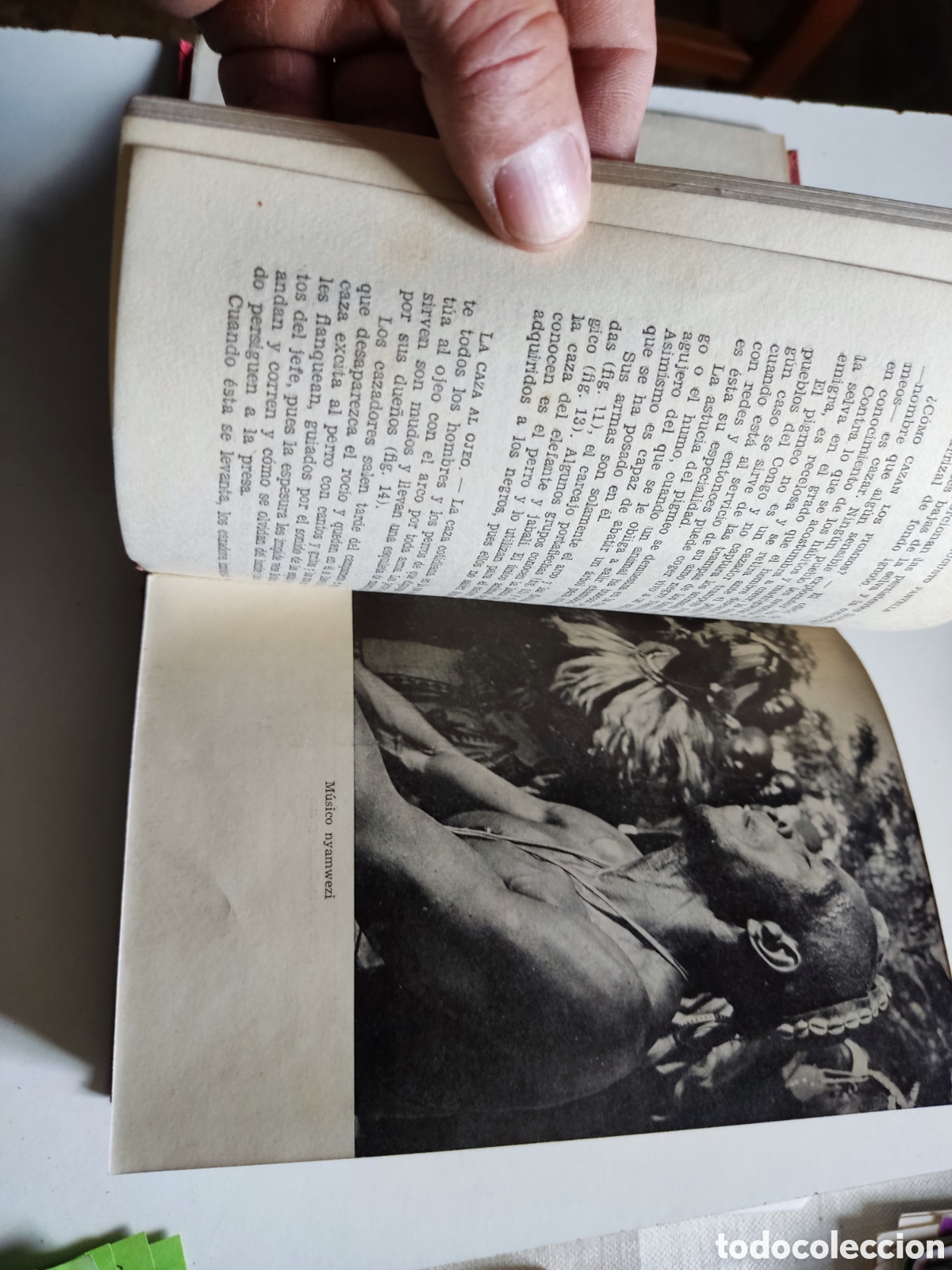 Libros de segunda mano: Libro enciclopedia de las razas humanas - Foto 11