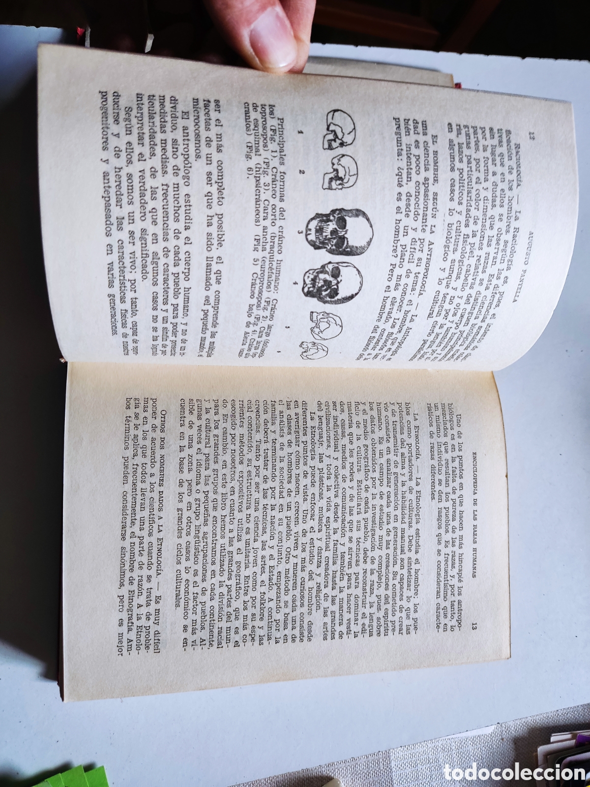 Libros de segunda mano: Libro enciclopedia de las razas humanas - Foto 12