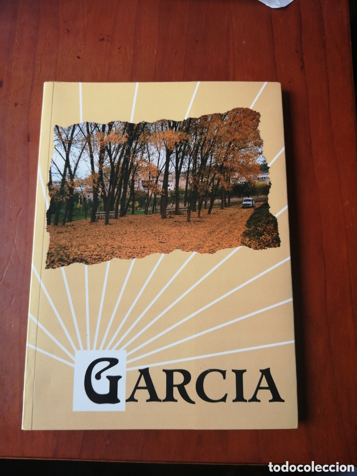 Libros de segunda mano: GARCIA RECULL DE NOTES HISTORIQUES DE LA VILA DE GARCIA
