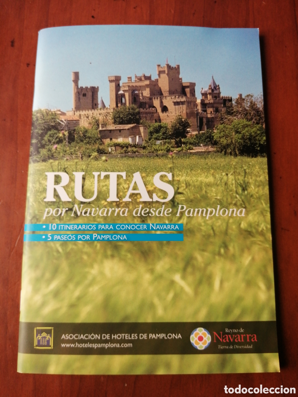 Libros de segunda mano: RUTAS POR NAVARRA DESDE PAMPLONA