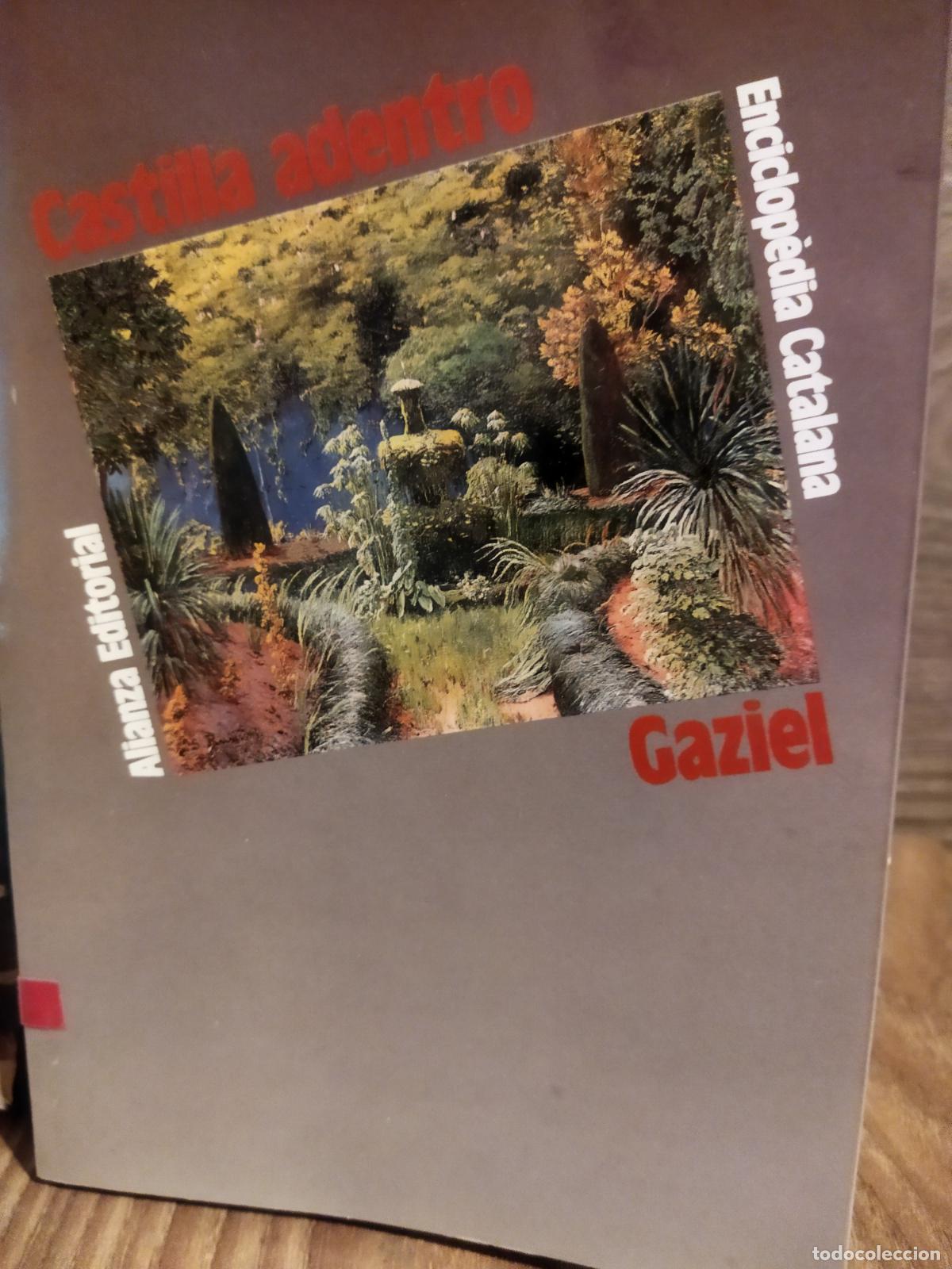 Libros de segunda mano: Castilla adentro - Foto 1