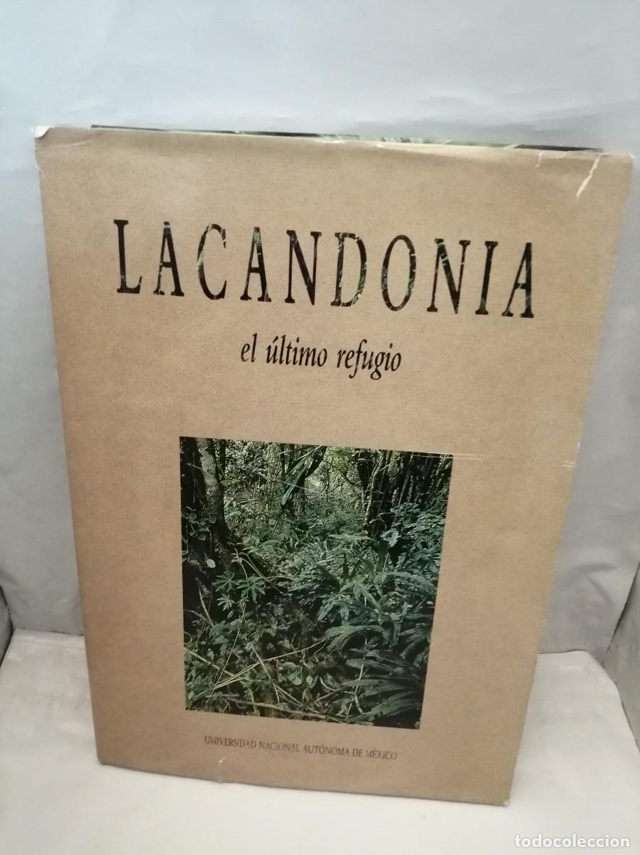 Gebrauchte B&uuml;cher: Lacandonia, el &uacute;ltimo refugio (Dedicatoria y firma aut&oacute;grafa de coordinador: Patricio Robles Gil)