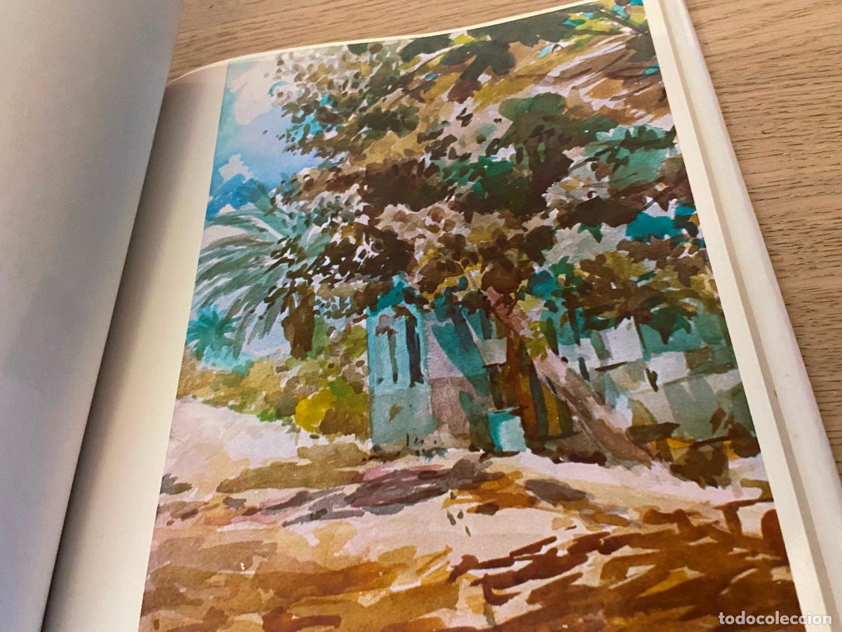 Libros de segunda mano: LIBRO DE LA HUERTA / MURCIA / 1973 / - Foto 5
