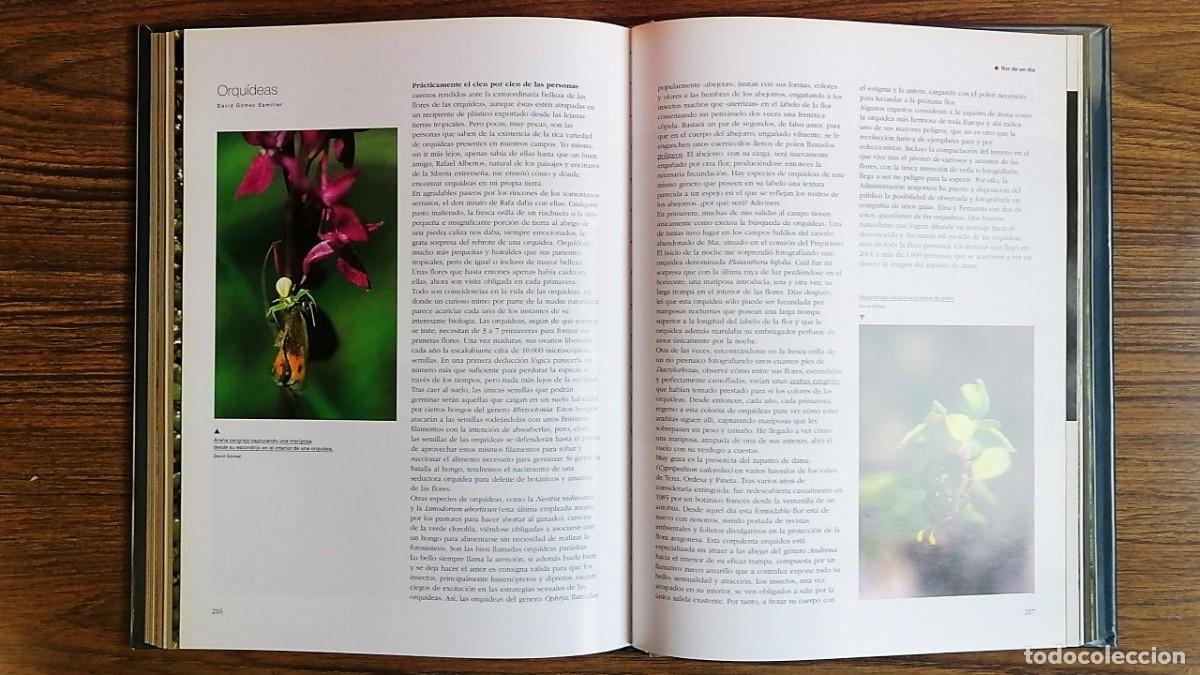 Libros de segunda mano: EL SILBIDO DEL CIERZO - Foto 5