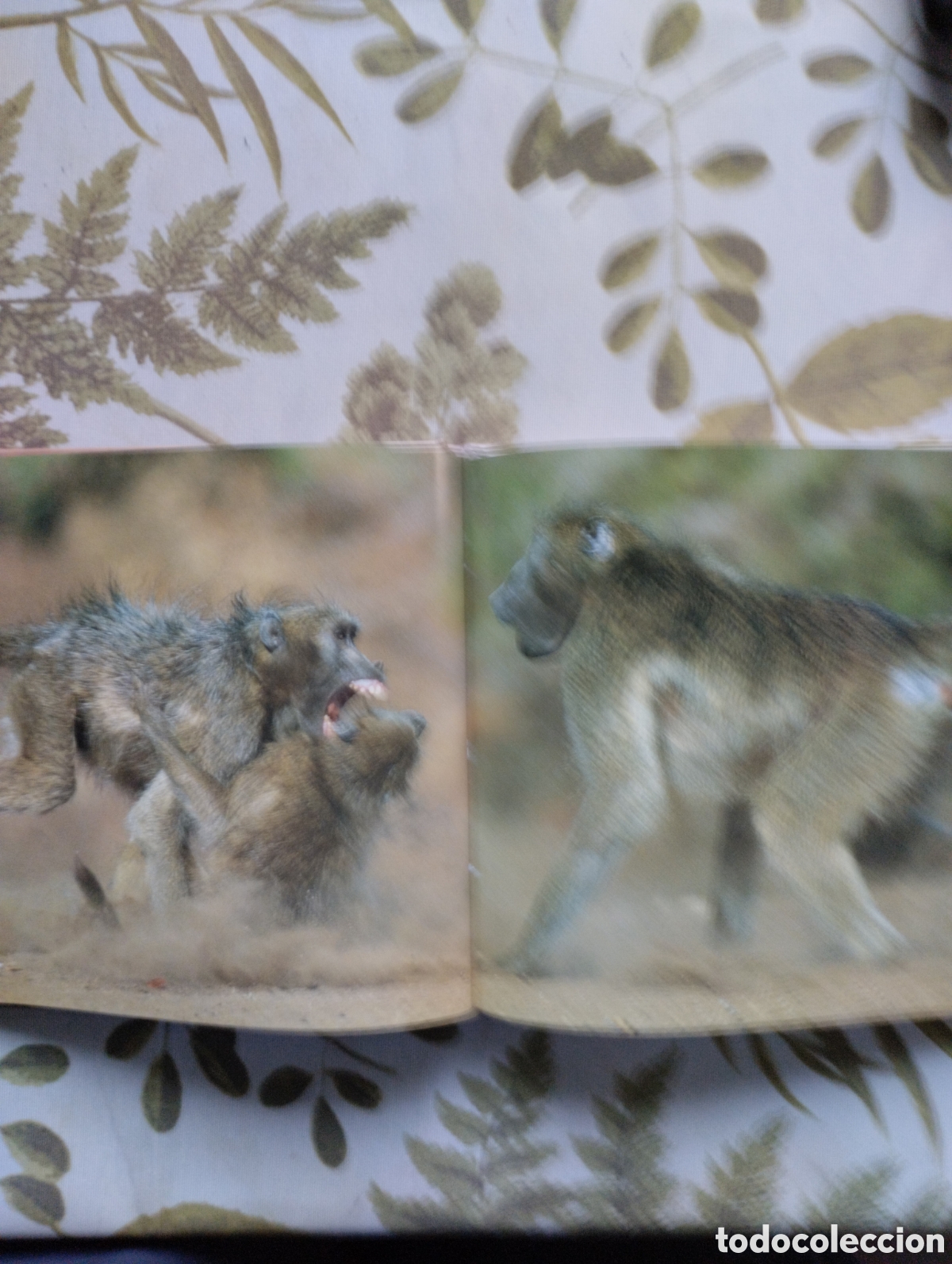 Libros de segunda mano: KRUGER, A VISUAL SOUVENIR. - Foto 10