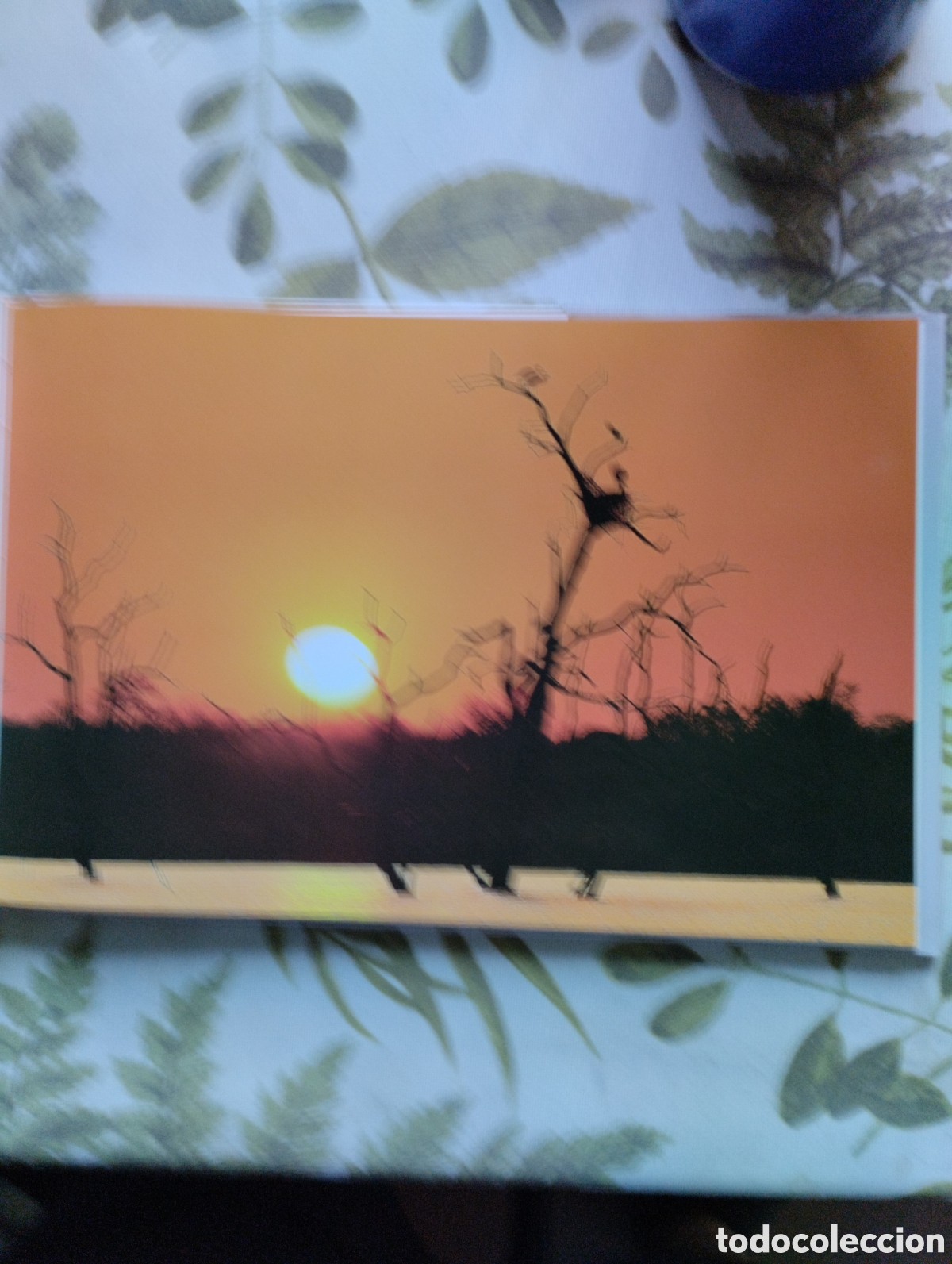 Libros de segunda mano: KRUGER, A VISUAL SOUVENIR. - Foto 12
