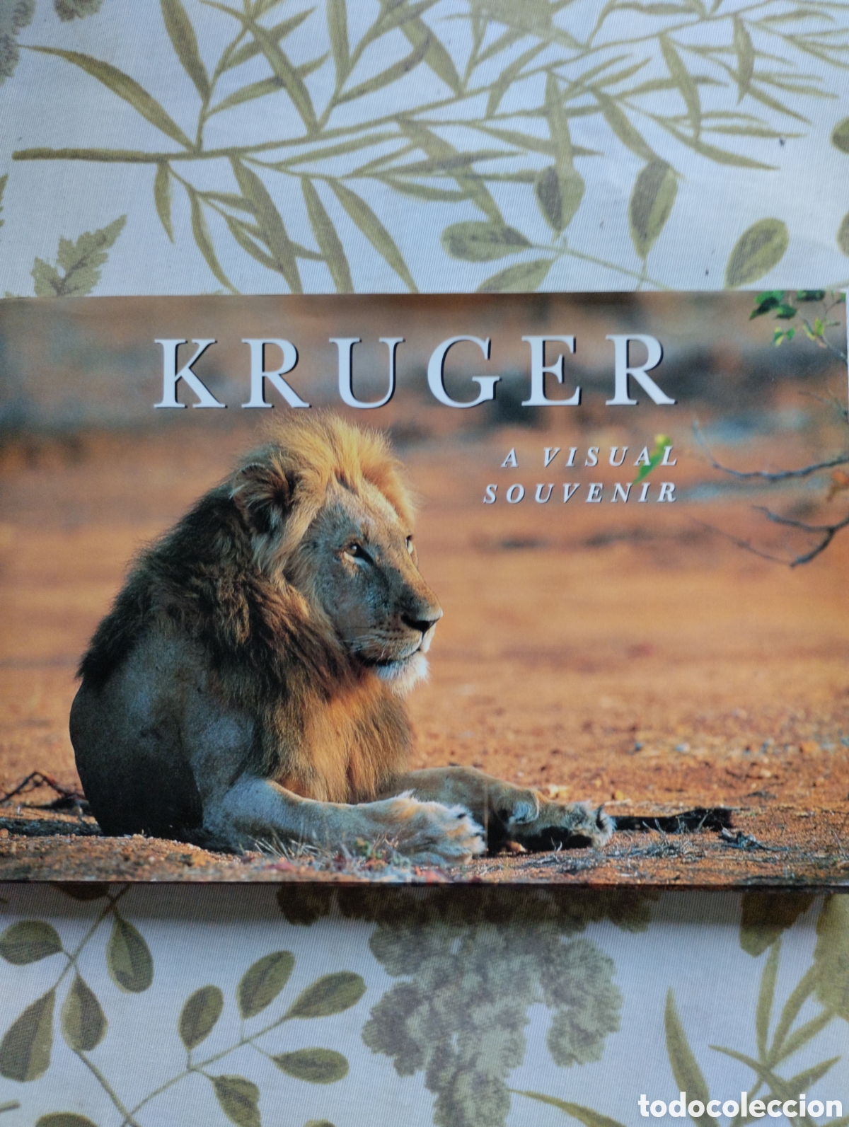Libri di seconda mano: KRUGER, A VISUAL SOUVENIR.