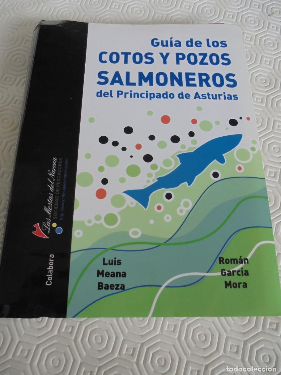 Libros de segunda mano: GUIA DE LOS COTOS Y POZOS SALMONEROS DEL PRINCIPADO DE ASTURIAS. LUIS MEANA BAEZA - ROMAN GARCIA MOR