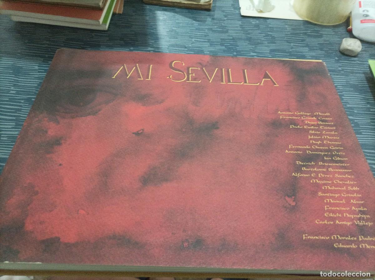 Second hand books: MI SEVILLA, INTRODUCCI&Oacute;N FRANCISCO MORALES PADRON, VARIOS AUTORES,1995,250 PAG.MAS LAMINAS.