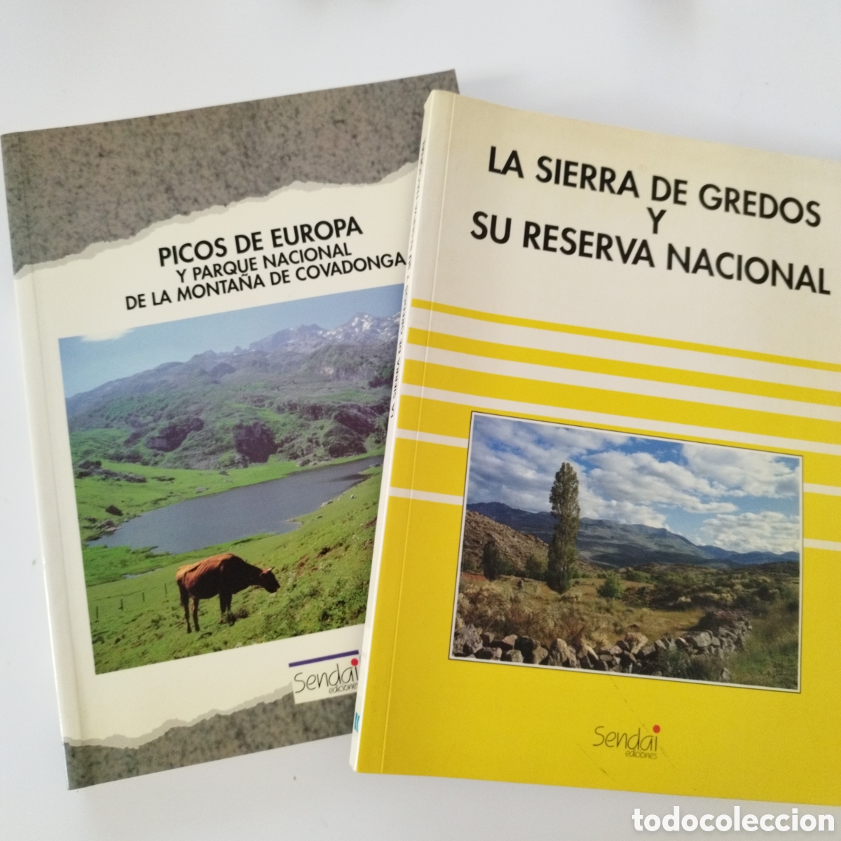 Libros de segunda mano: 2 LIBROS / PICOS DE EUROPA Y PARQUE NACIONAL DE COVADONGA / LA SIERRA SE GREDOS Y SU RESERVA /