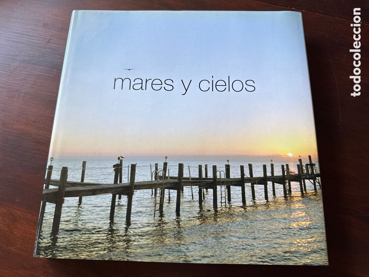 Libros de segunda mano: MARES Y CIELOS 2006 LA CAIXA - Foto 11
