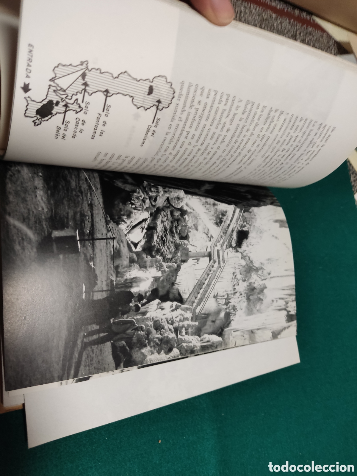 Libros de segunda mano: Libro La cueva de Nerja 1971 - Foto 10