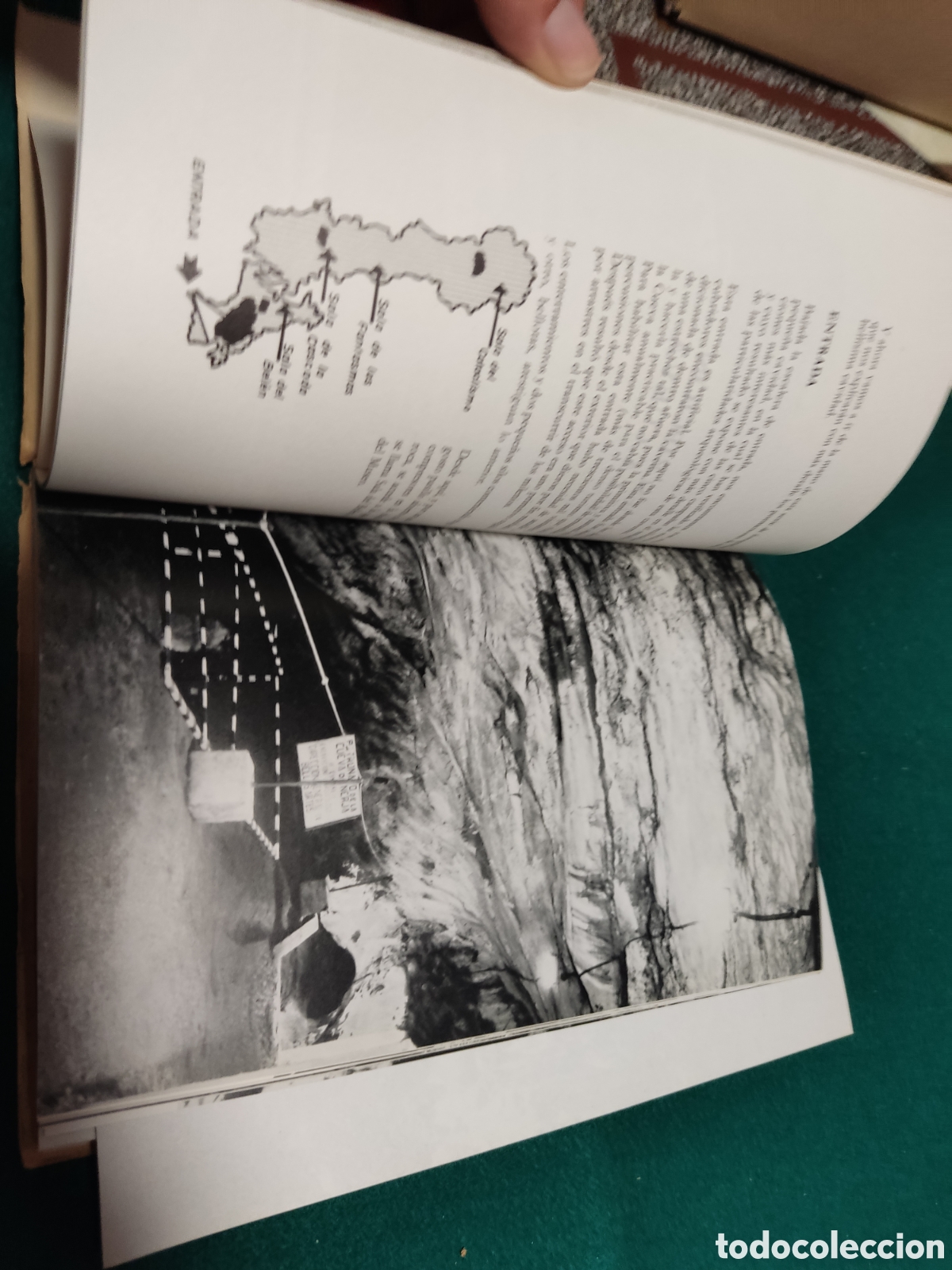 Libros de segunda mano: Libro La cueva de Nerja 1971 - Foto 11