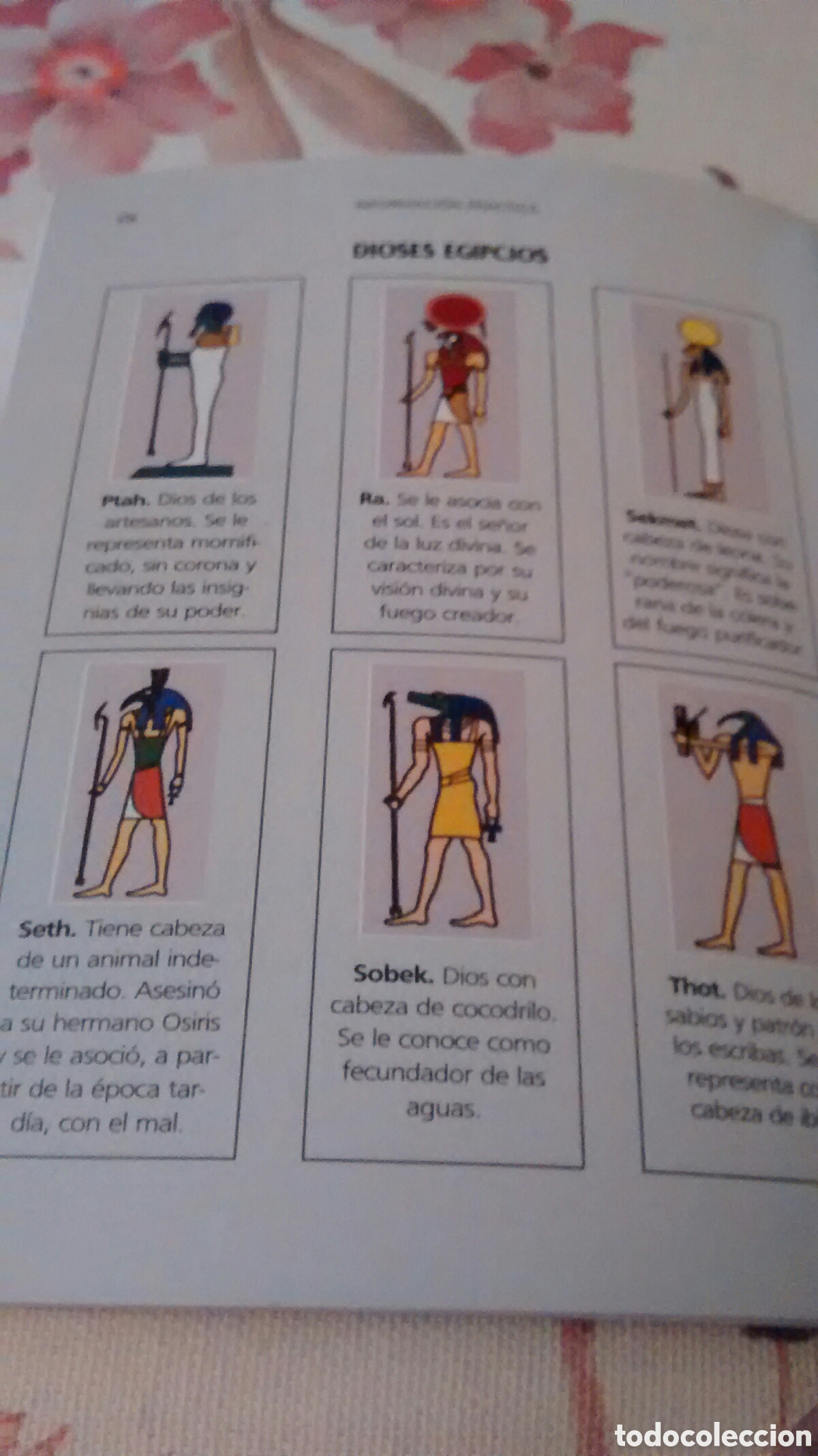 Libros de segunda mano: EGIPTO (EDICIONES UNIVERSAL, ROYAL VACACIONES) - Foto 3