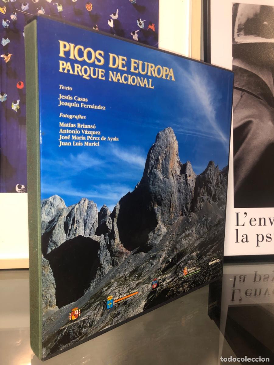 Libros de segunda mano: PICOS DE EUROPA PARQUE NACIONAL JES&Uacute;S CASAS JOAQU&Iacute;N FERN&Aacute;NDEZ MATIAS BRIANSO ANTONIO VAZQUEZ