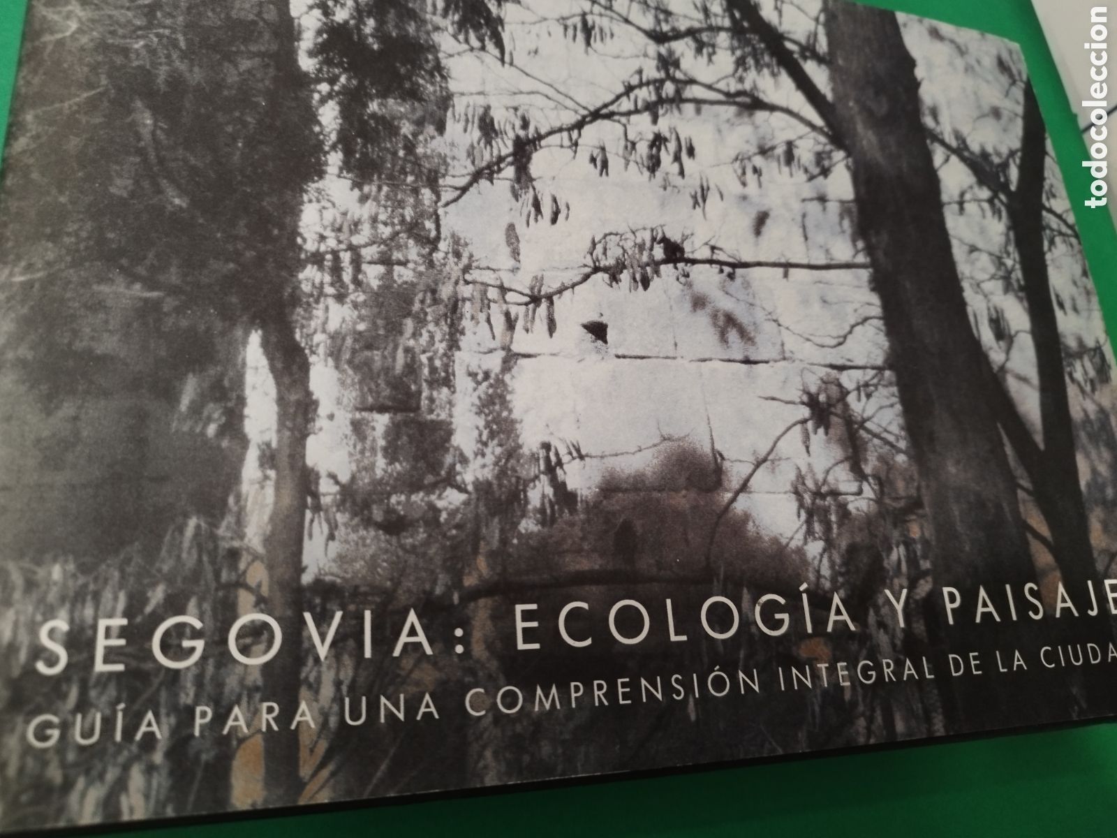 Libri di seconda mano: SEGOVIA: ECOLOGIA Y PAISAJE. GUIA PARA UNA COMPRENSION INTEGRAL DE LA CIUDAD 1993 ILUSTRADO 1&ordf; ED.