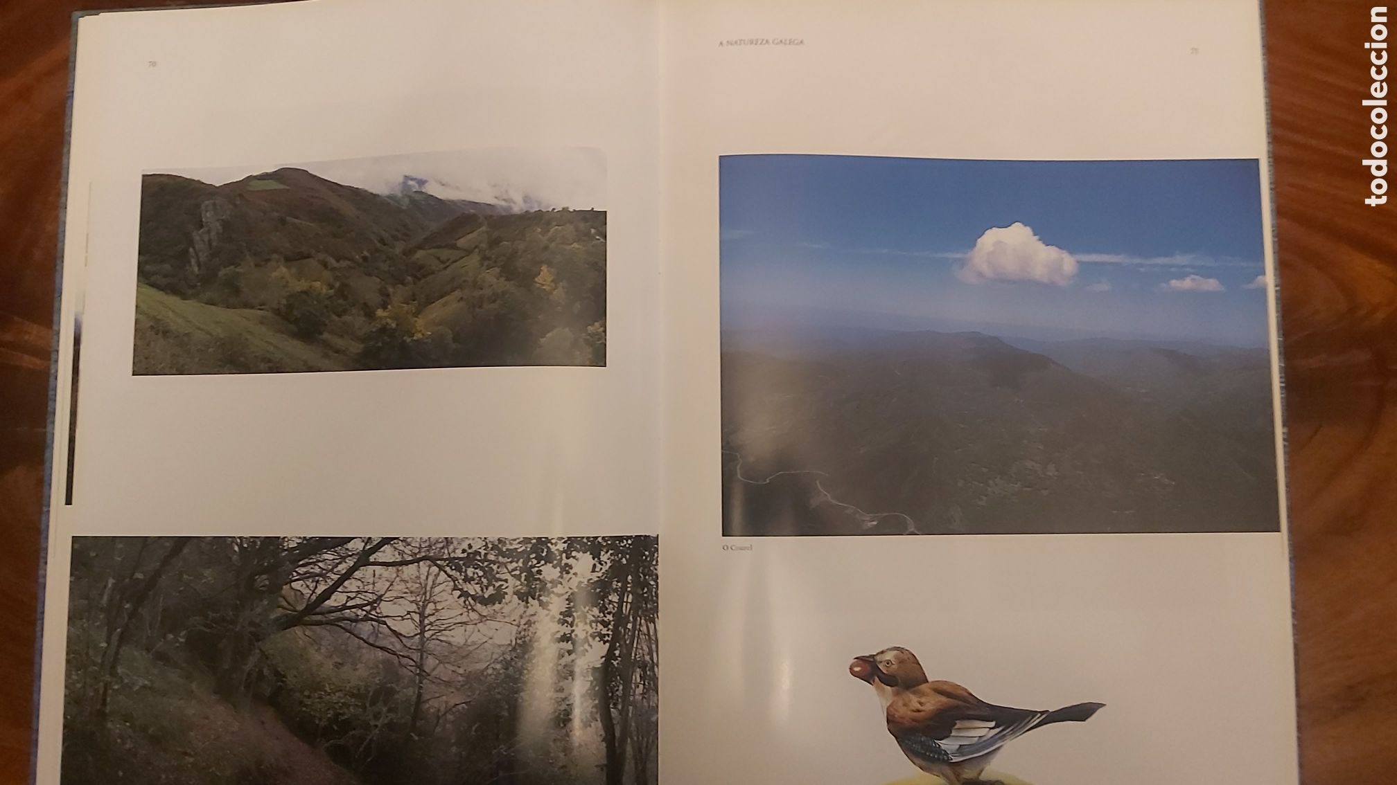 Libros de segunda mano: A NATUREZA GALEGA (1999)