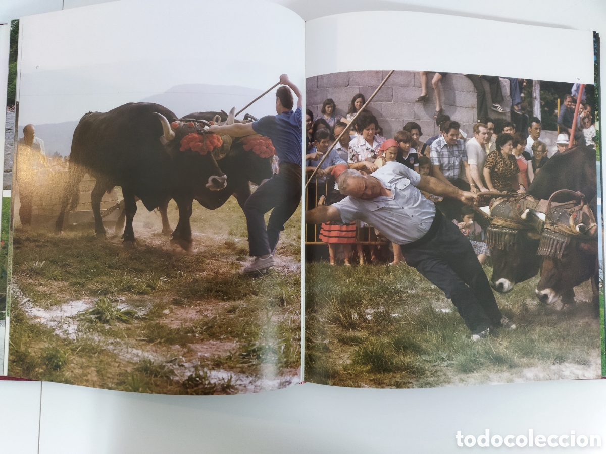 Libros de segunda mano: Libro Cantabria de Lundwerg Editores - Foto 6
